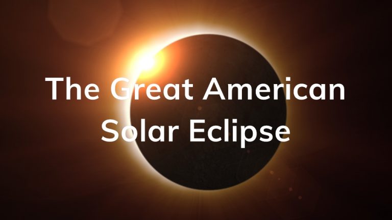 Earnings Insight August 2017